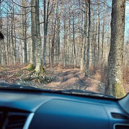 Somova Gora In The Woods Chalet