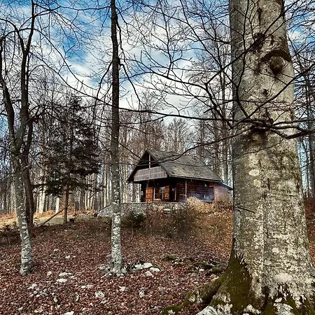 Chalet Somova Gora In The Woods Kocevje