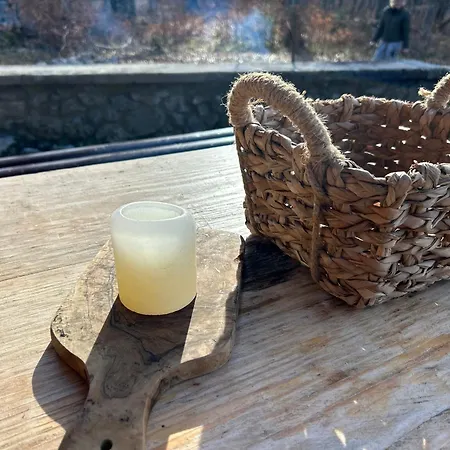 Somova Gora In The Woods Kocevje