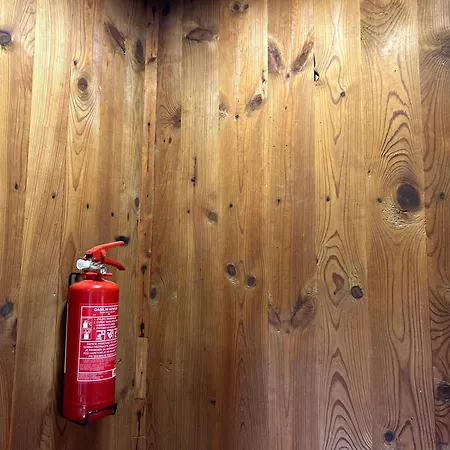 Somova Gora In The Woods * Kocevje