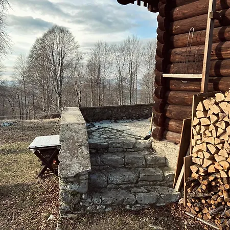 Somova Gora In The Woods Chalet Kocevje