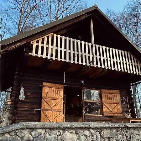 Somova Gora In The Woods *