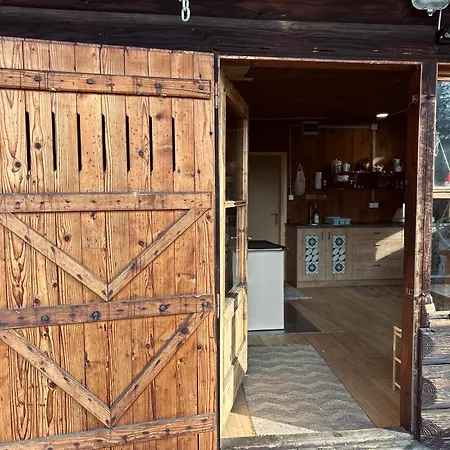 Somova Gora In The Woods