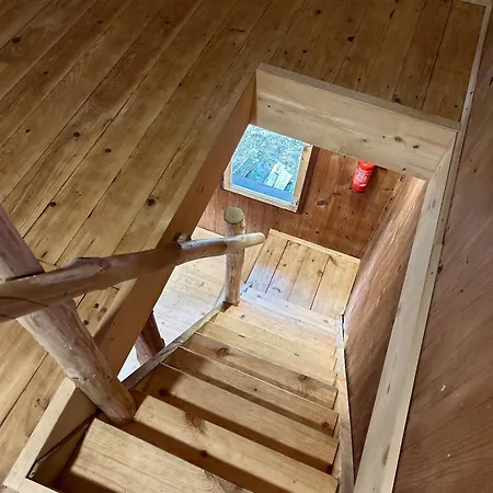 Chalet Somova Gora In The Woods Kocevje