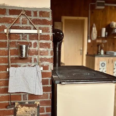 Somova Gora In The Woods *