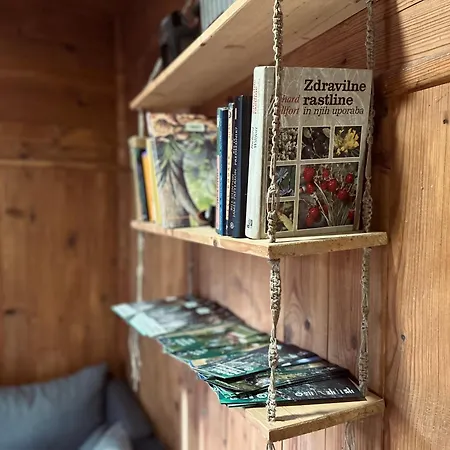 Somova Gora In The Woods Kocevje