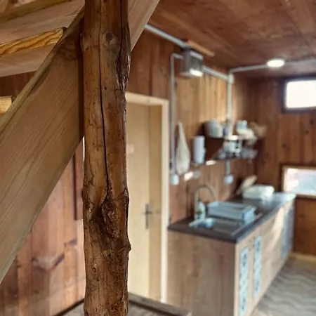 Somova Gora In The Woods *