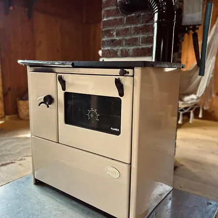 Somova Gora In The Woods Kocevje