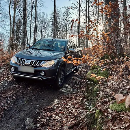 Somova Gora In The Woods