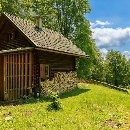 Alpehytte Somova Gora In The Woods