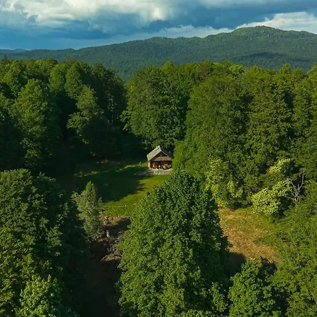 Somova Gora In The Woods