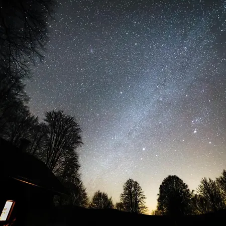 Somova Gora In The Woods *