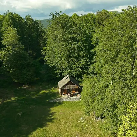 Somova Gora In The Woods Kocevje