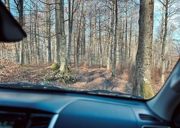 Somova Gora In The Woods Horská chata