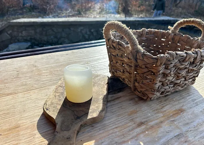 Somova Gora In The Woods קוצ'בייה