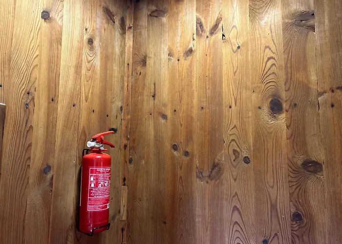 Somova Gora In The Woods * Kocevje