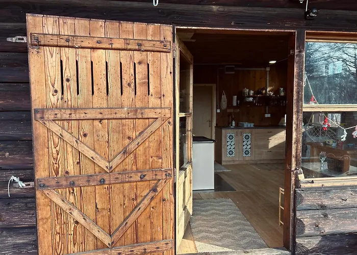 Somova Gora In The Woods