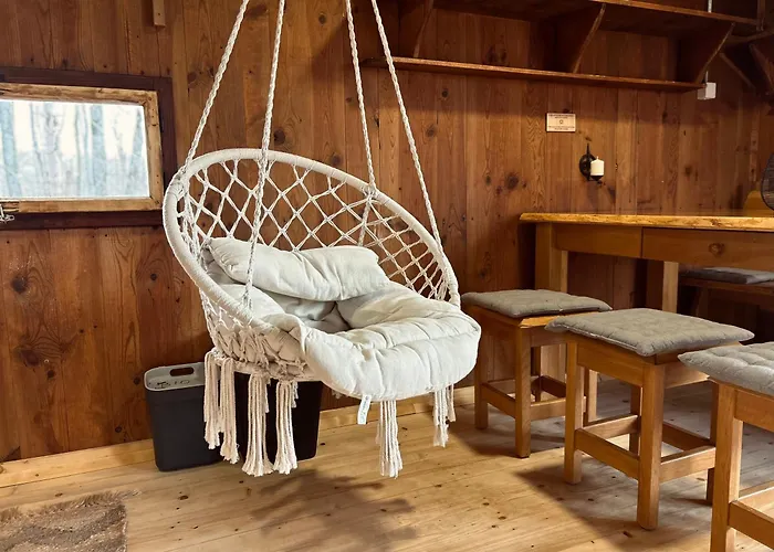 Somova Gora In The Woods *