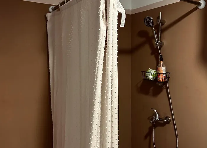 Somova Gora In The Woods