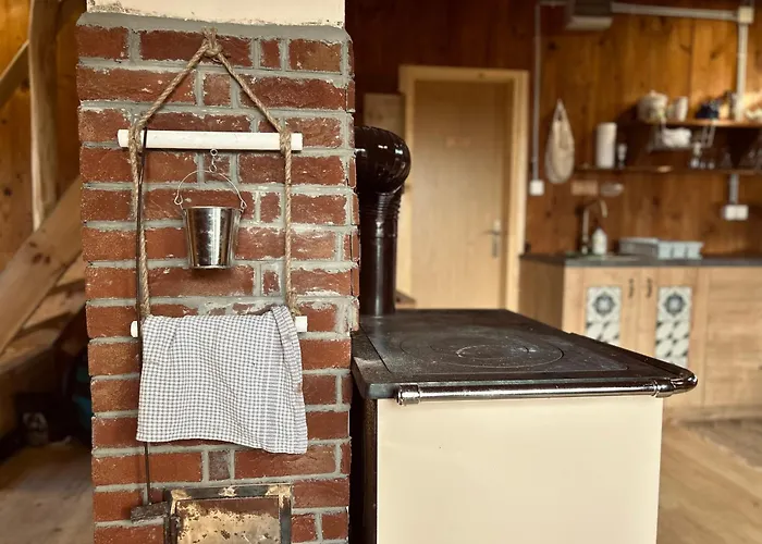 Somova Gora In The Woods *