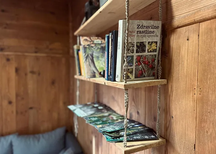 Somova Gora In The Woods קוצ'בייה