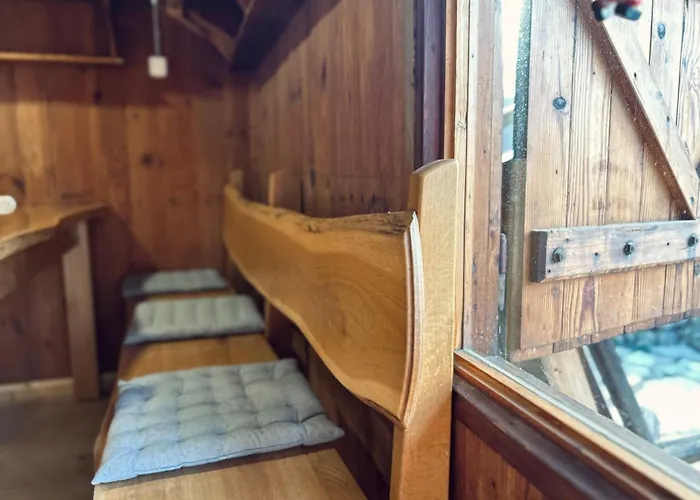 Somova Gora In The Woods *