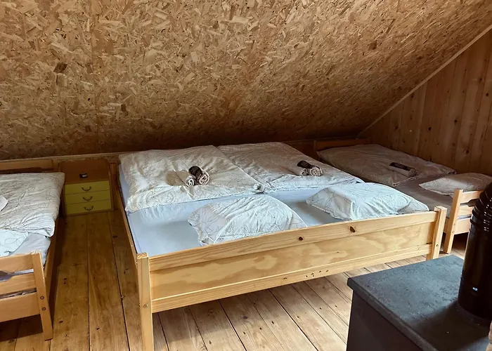 Somova Gora In The Woods