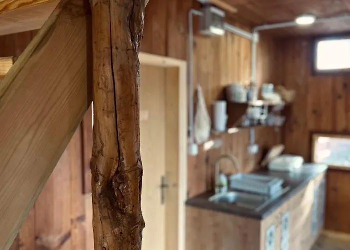 Somova Gora In The Woods *