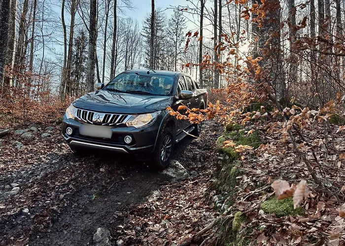 Somova Gora In The Woods