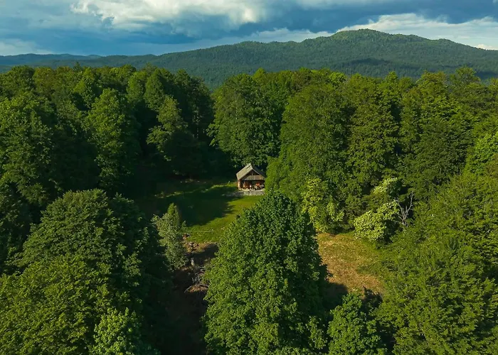 Somova Gora In The Woods