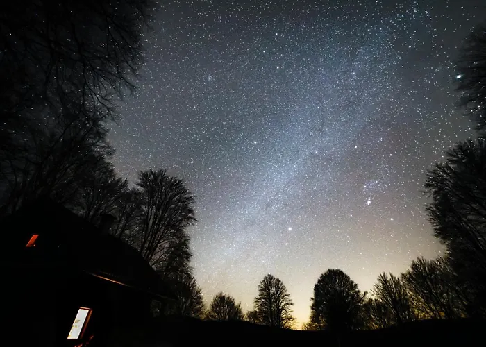 Somova Gora In The Woods *