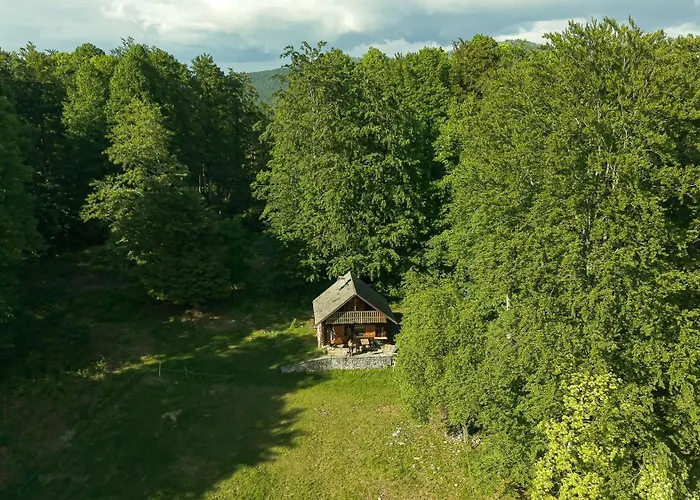 Somova Gora In The Woods קוצ'בייה